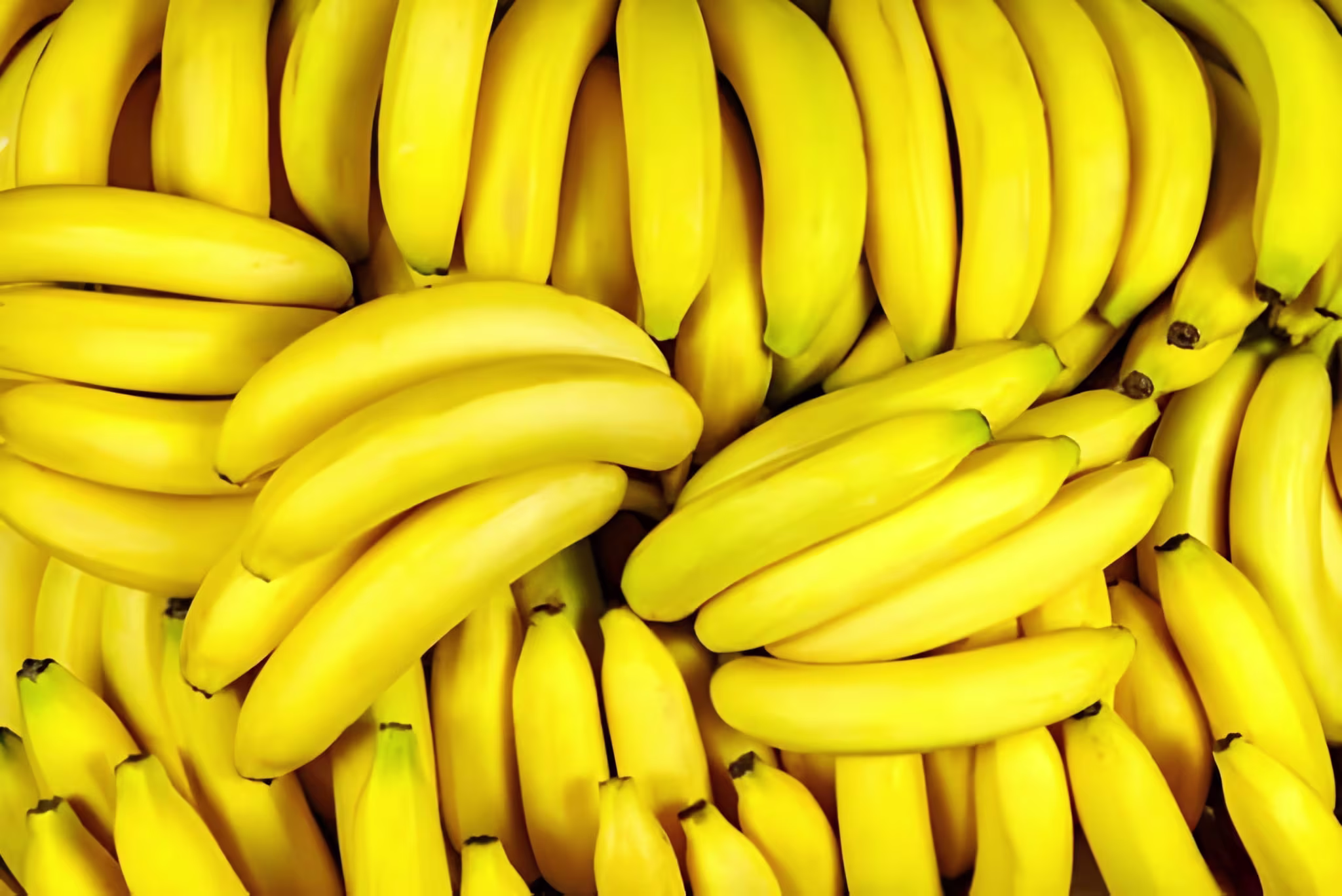 Bananas